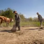 experience life on a slovenian farm 1024x683 1