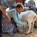 farm experience near ljubljana 1024x683 1