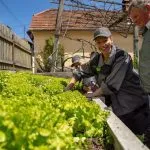 gardening experience slovenia 1024x683 1