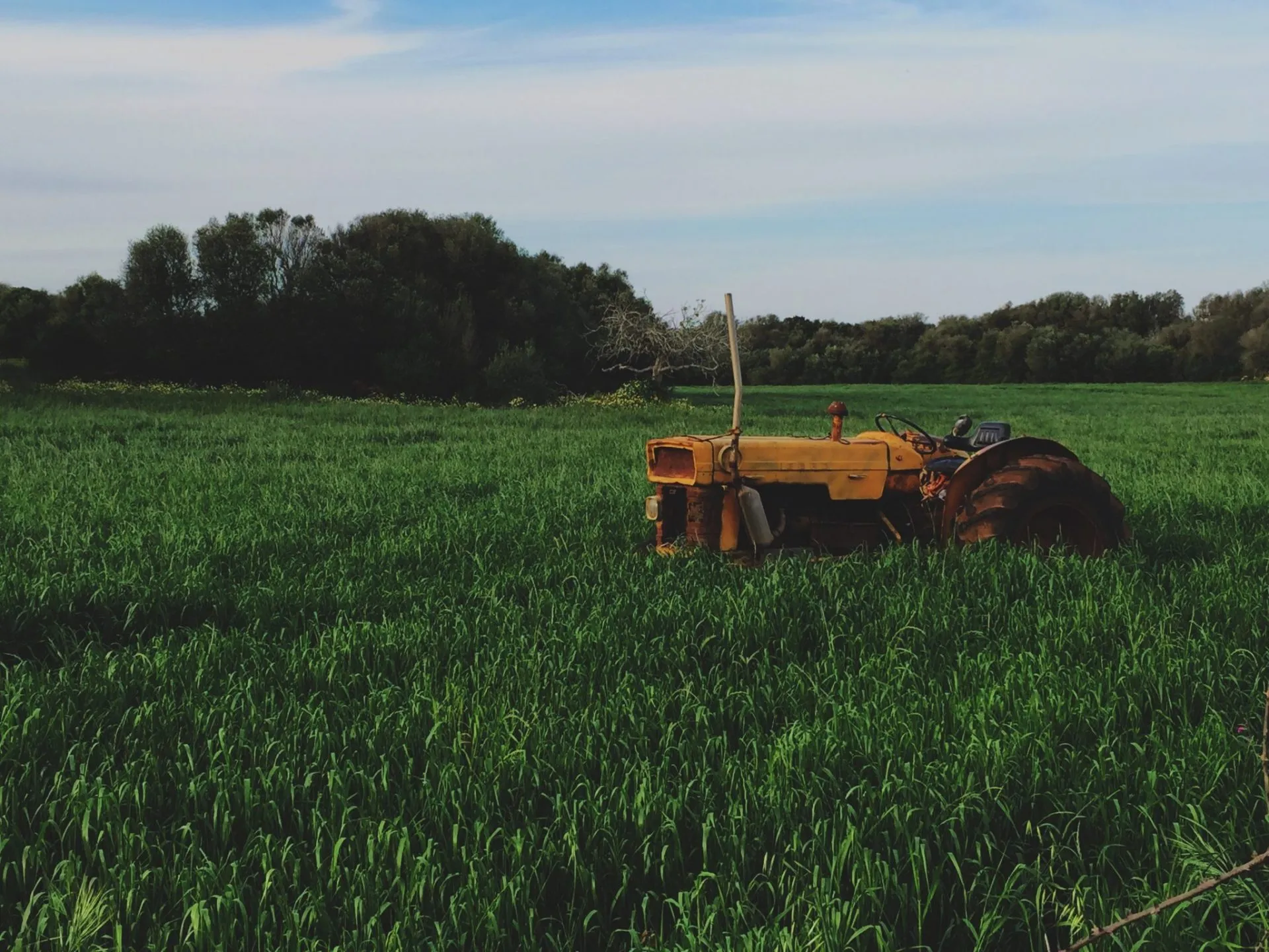 xavi moll 15959 unsplash
